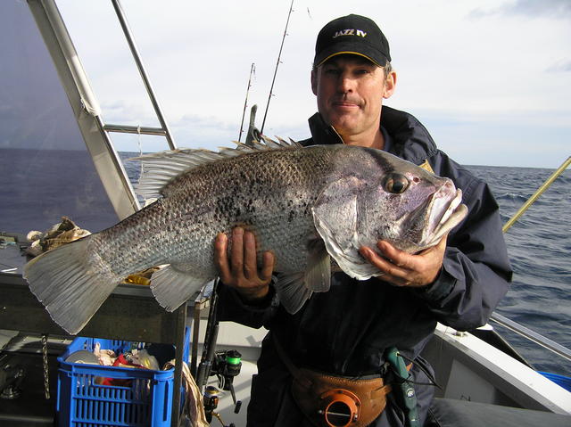 abrolhos island dhu